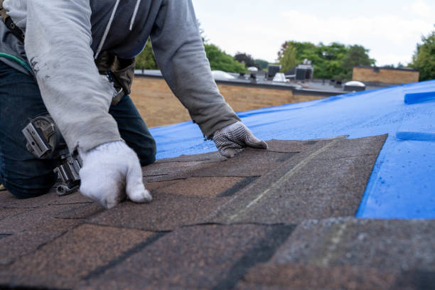 Best Flat Roof Repair Services  in Brownsville, FL
