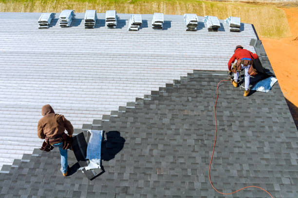 Best Roof Gutter Cleaning  in Brownsville, FL
