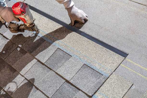 Best Storm Damage Roof Repair  in Brownsville, FL